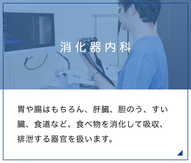 消化器内科